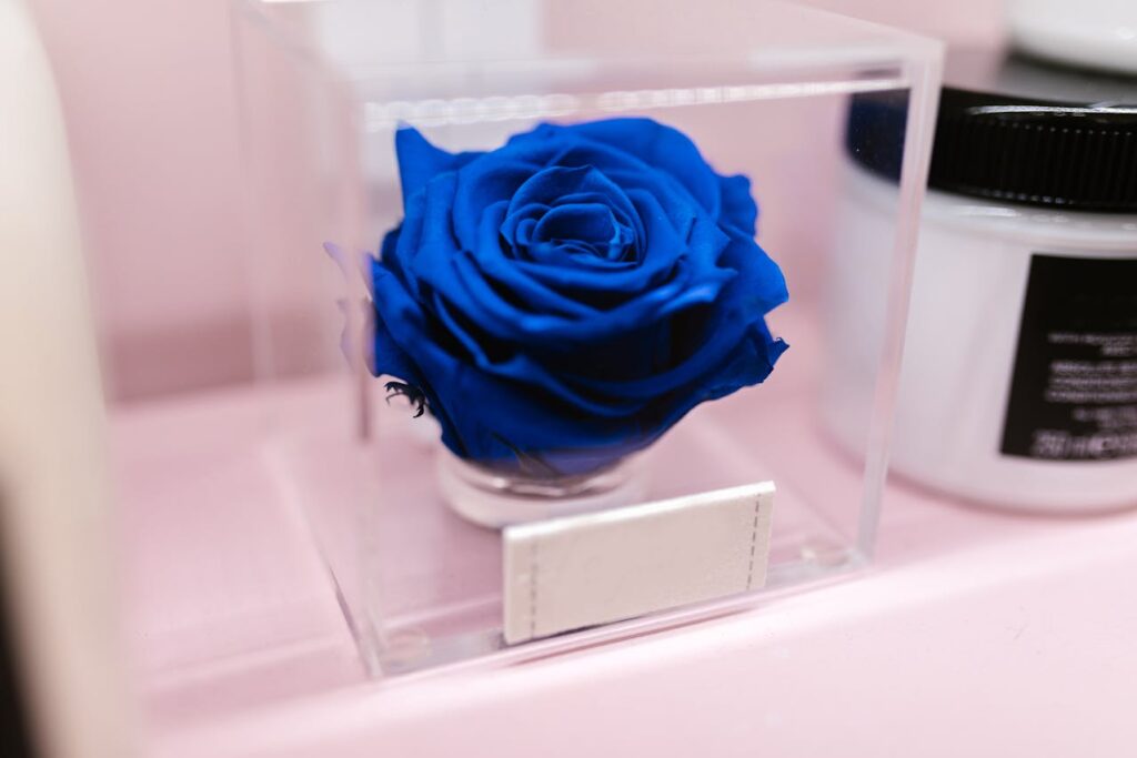 Spiritual Meaning Behind the Blue Rose