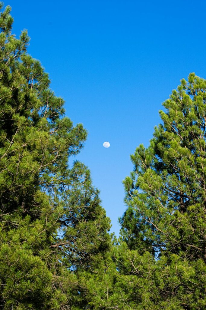 What Does the Daytime Moon Symbolize Spiritually