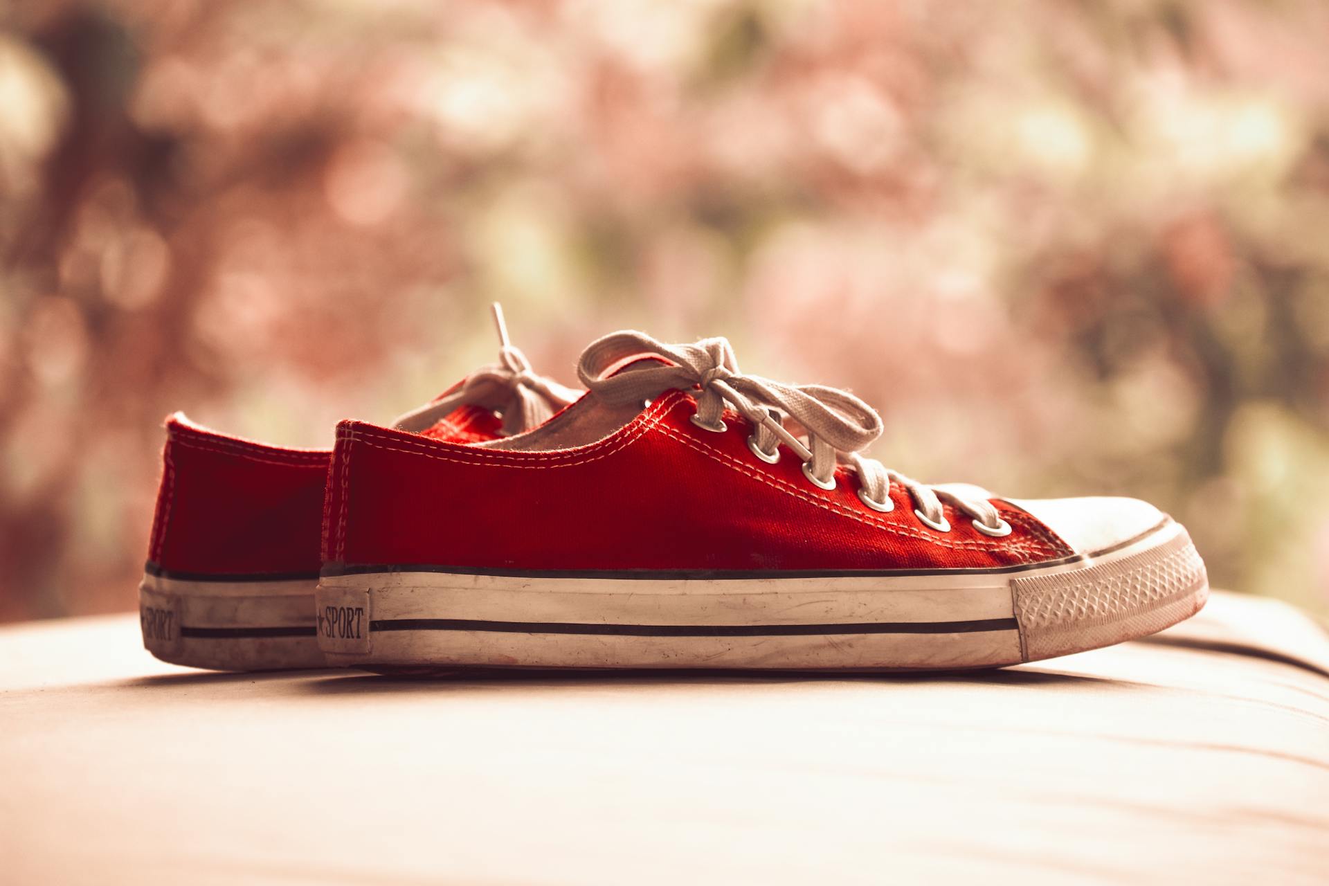 The Symbolic Meaning of Red Shoes