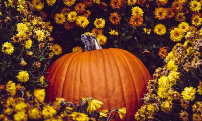 The spiritual significance of a pumpkin