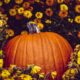 The spiritual significance of a pumpkin