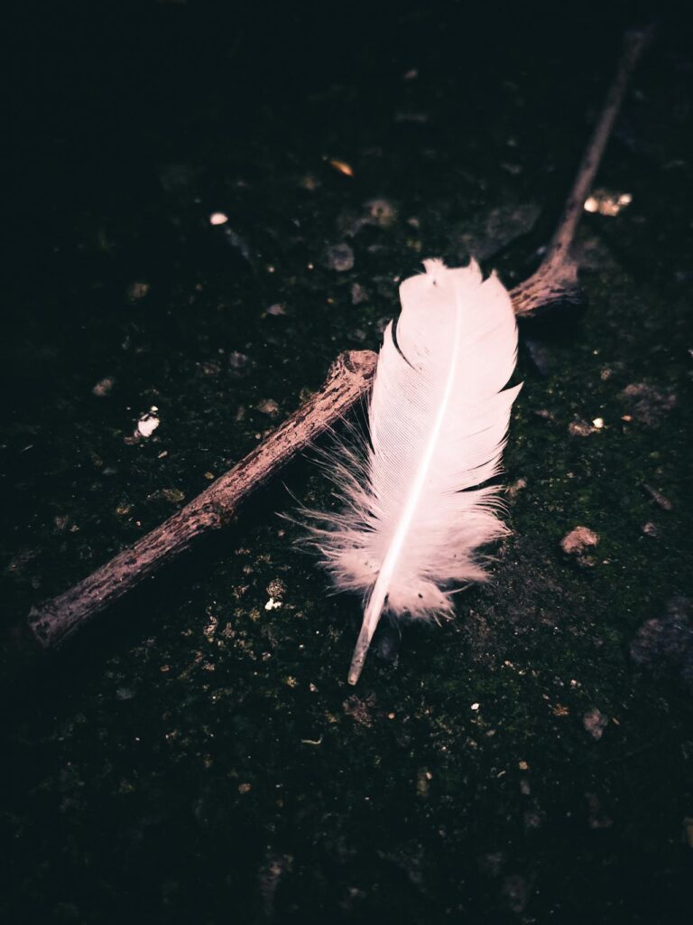 The spiritual significance of finding feathers