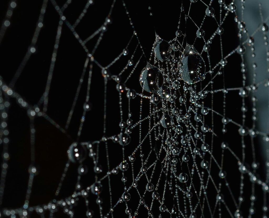 How are spider webs interpreted in spiritual practices