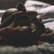 Understanding the Strange Nature of Sex Dreams