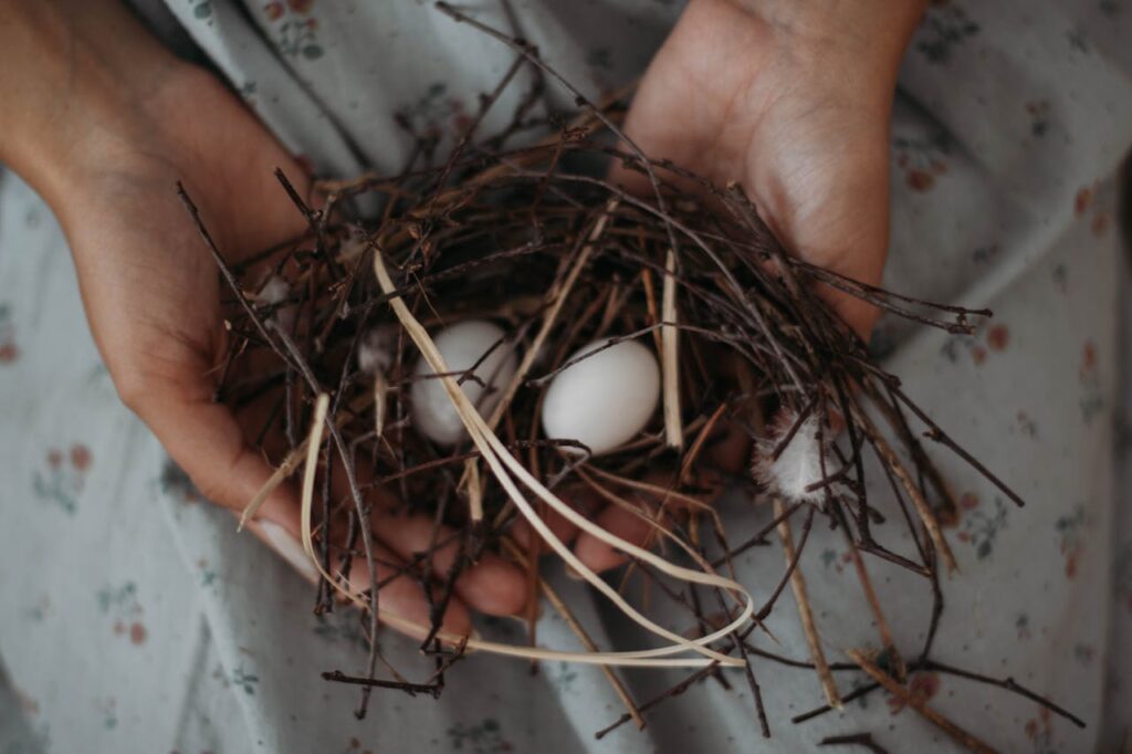 How can I respectfully interact with a bird egg I find in nature