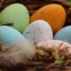 What Does Finding a Bird Egg Symbolize in Spirituality