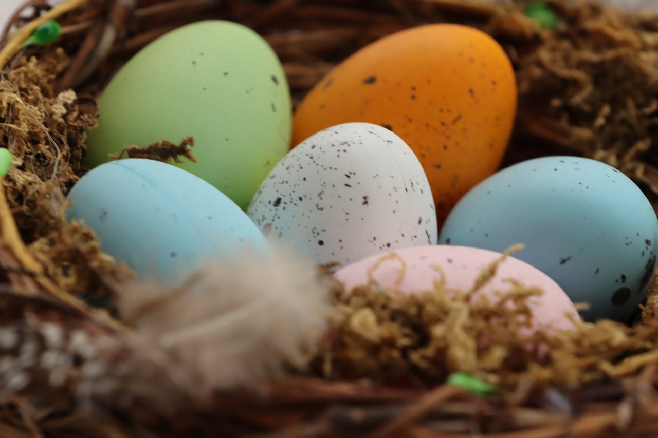 What Does Finding a Bird Egg Symbolize in Spirituality