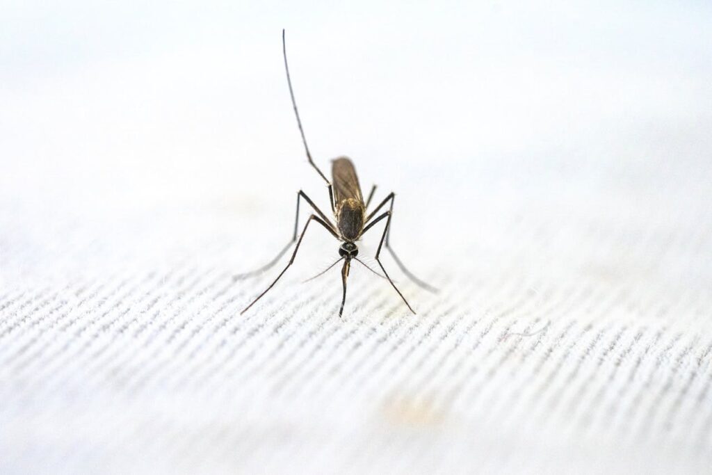 How can I release negative energy associated with mosquito bites