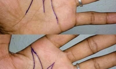 The Hidden Meaning Behind the “M” and Crescent Moon on Your Palm