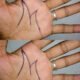 The Hidden Meaning Behind the “M” and Crescent Moon on Your Palm