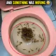 I LOOKED INTO MY TOILET... AND SOMETHING WAS MOVING 😳