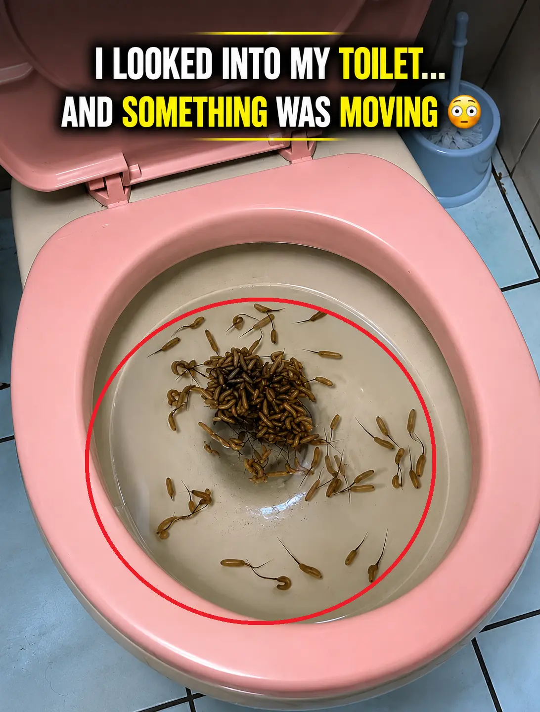 I LOOKED INTO MY TOILET... AND SOMETHING WAS MOVING 😳
